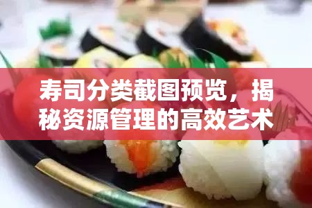 寿司分类截图预览，揭秘资源管理的高效艺术与实用策略