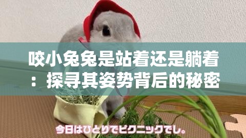 咬小兔兔是站着还是躺着：探寻其姿势背后的秘密