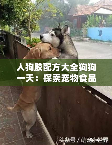 人狗胶配方大全狗狗一天：探索宠物食品的奥秘