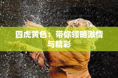 四虎黄色：带你领略激情与精彩
