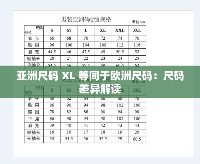亚洲尺码 XL 等同于欧洲尺码：尺码差异解读