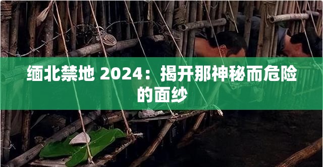 缅北禁地 2024：揭开那神秘而危险的面纱