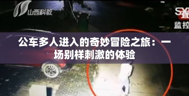 公车多人进入的奇妙冒险之旅：一场别样刺激的体验