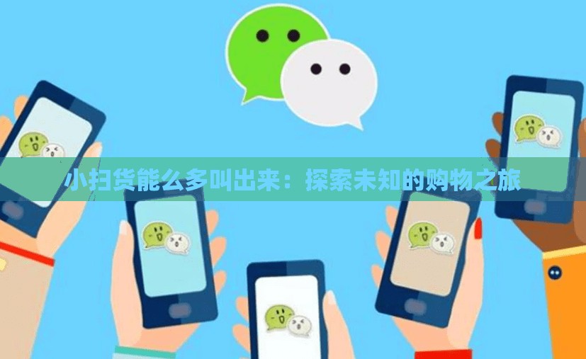 小扫货能么多叫出来：探索未知的购物之旅