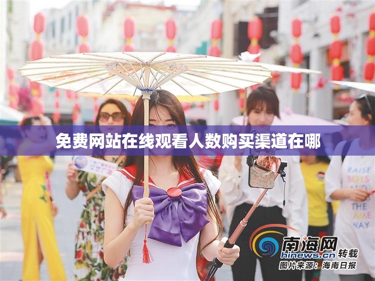 免费网站在线观看人数购买渠道在哪