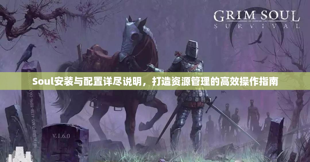 Soul安装与配置详尽说明，打造资源管理的高效操作指南