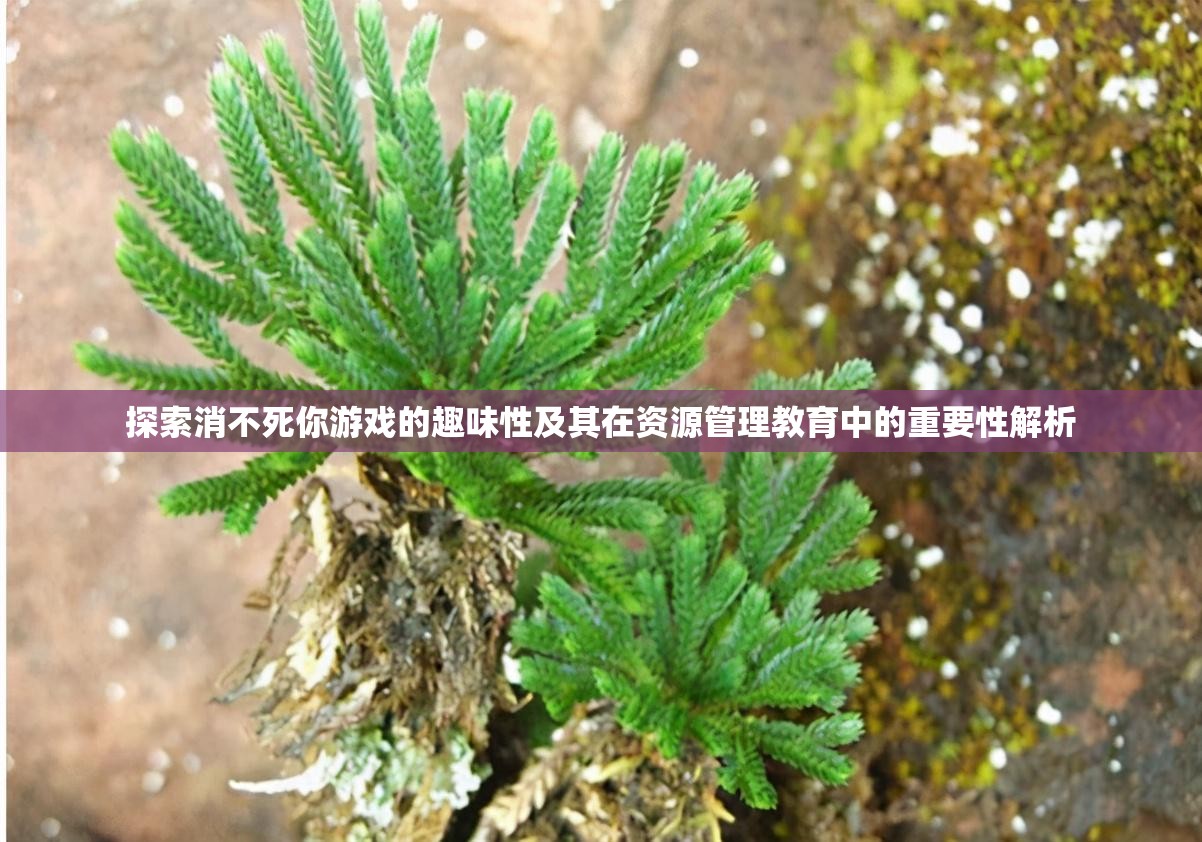探索消不死你游戏的趣味性及其在资源管理教育中的重要性解析