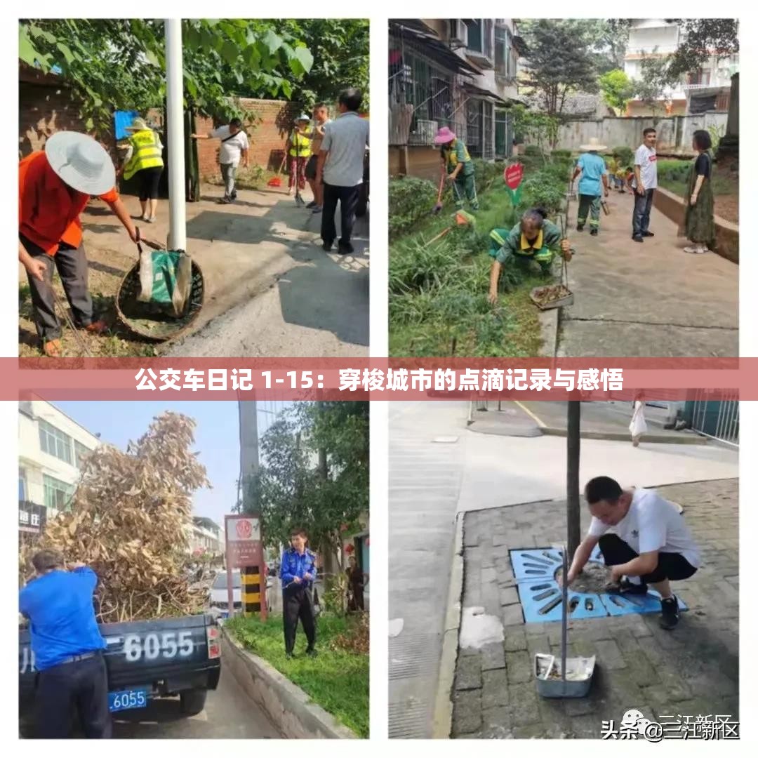 公交车日记 1-15：穿梭城市的点滴记录与感悟