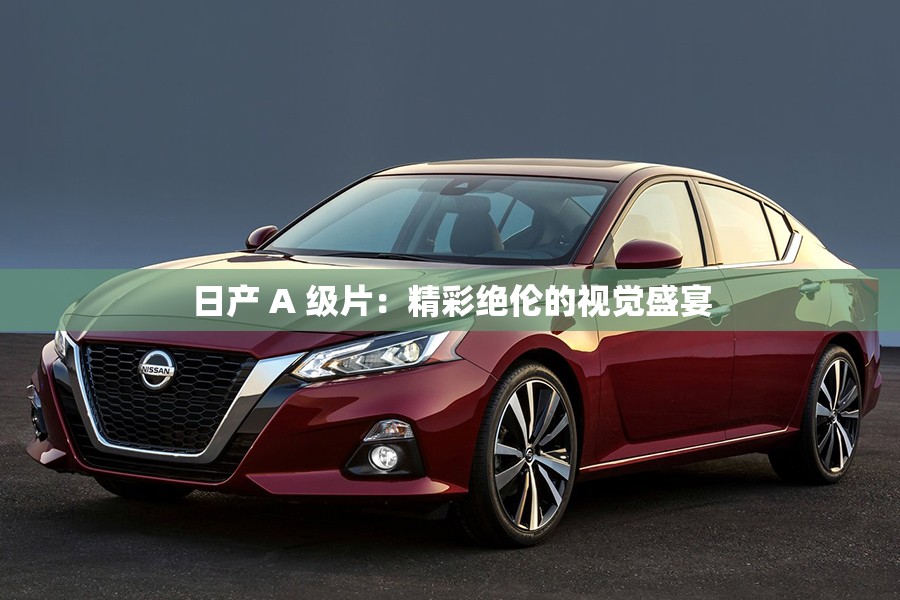 日产 A 级片：精彩绝伦的视觉盛宴