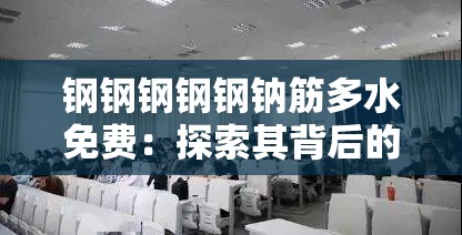 钢钢钢钢钢钠筋多水免费：探索其背后的奥秘与价值