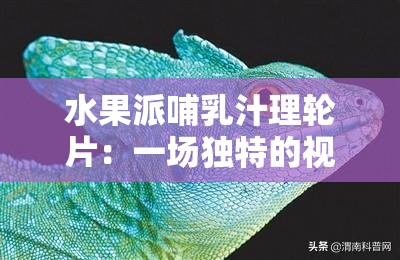 水果派哺乳汁理轮片：一场独特的视觉与思维冲击