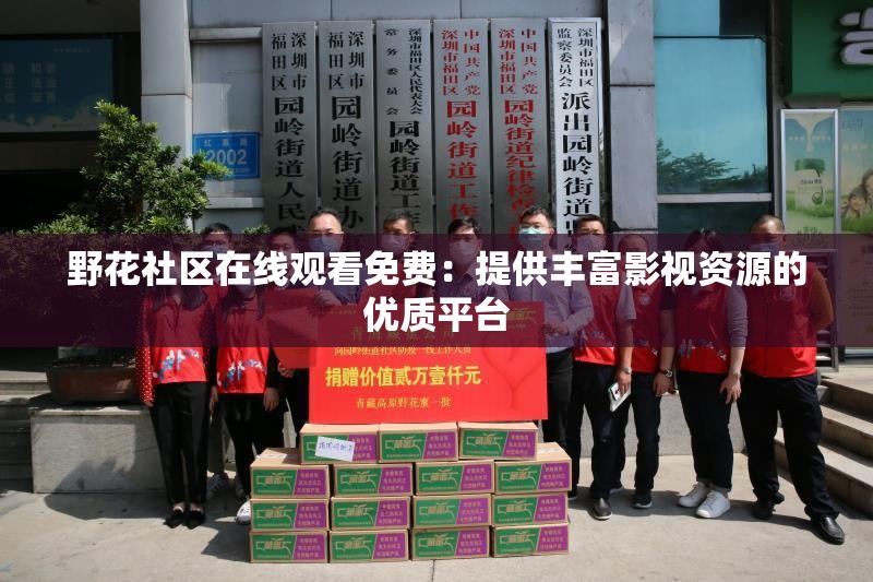 野花社区在线观看免费：提供丰富影视资源的优质平台