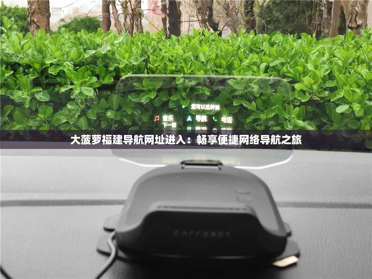 大菠萝福建导航网址进入：畅享便捷网络导航之旅