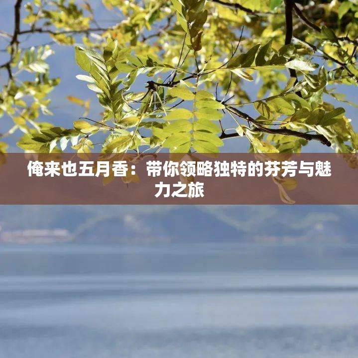俺来也五月香：带你领略独特的芬芳与魅力之旅