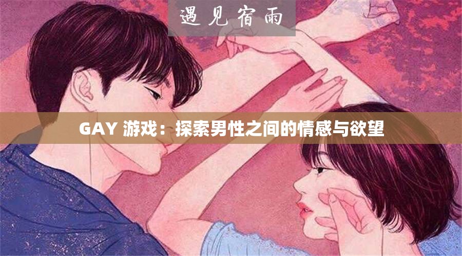 GAY 游戏：探索男性之间的情感与欲望