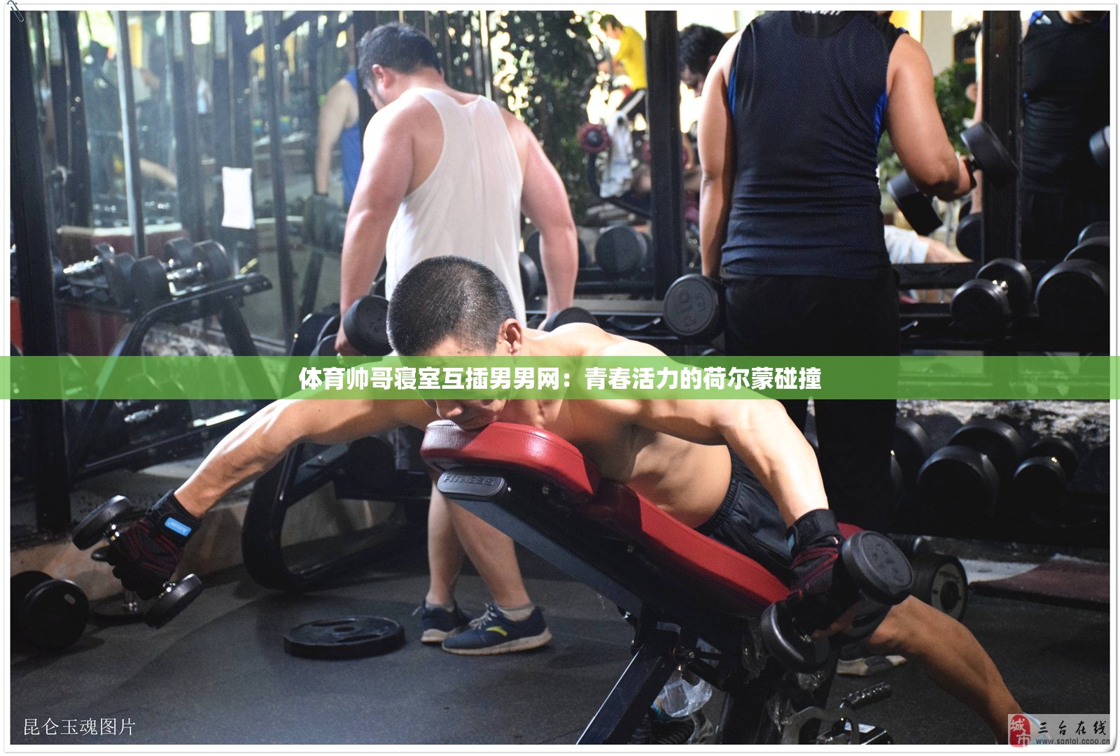 体育帅哥寝室互插男男网：青春活力的荷尔蒙碰撞