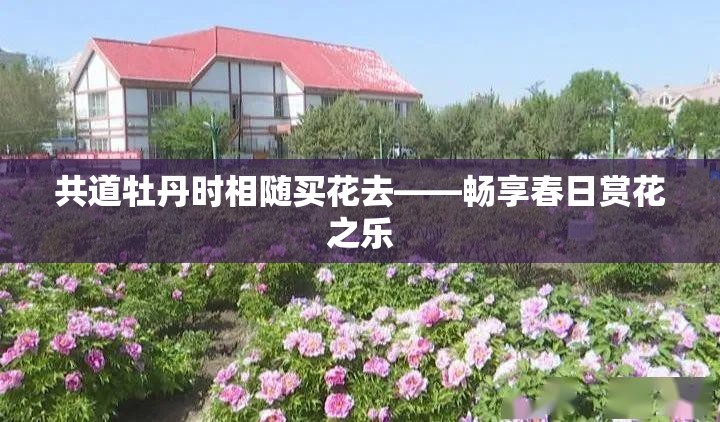 共道牡丹时相随买花去——畅享春日赏花之乐