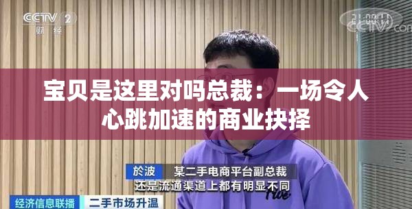 宝贝是这里对吗总裁：一场令人心跳加速的商业抉择