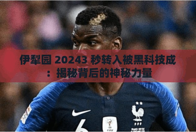 伊犁园 20243 秒转入被黑科技成：揭秘背后的神秘力量
