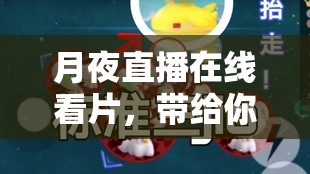 月夜直播在线看片，带给你不一样的视觉体验