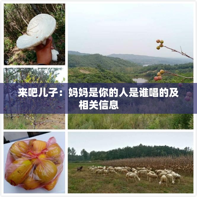 来吧儿子：妈妈是你的人是谁唱的及相关信息