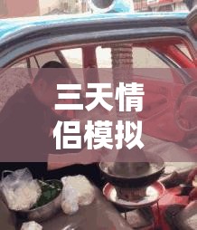 三天情侣模拟器，在截图预览中探索甜蜜与惊喜的虚拟恋爱冒险