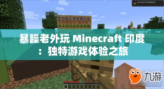 暴躁老外玩 Minecraft 印度：独特游戏体验之旅