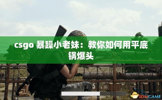 csgo 暴躁小老妹：教你如何用平底锅爆头