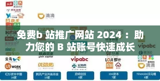 免费b 站推广网站 2024 ：助力您的 B 站账号快速成长