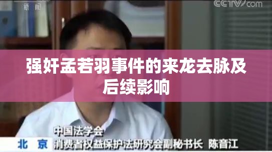 强奸孟若羽事件的来龙去脉及后续影响