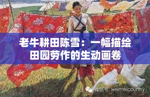 老牛耕田陈雪：一幅描绘田园劳作的生动画卷