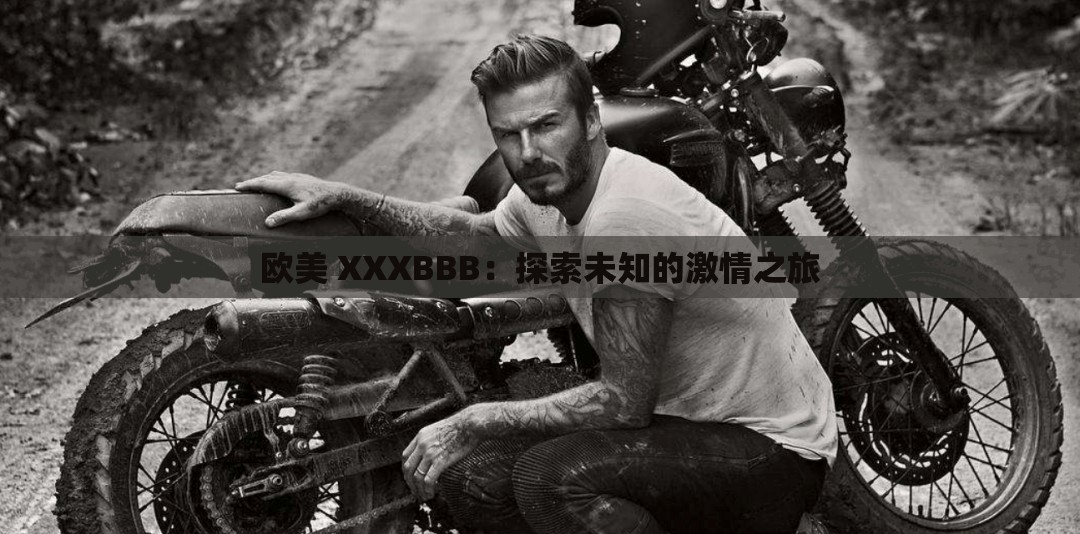 欧美 XXXBBB：探索未知的激情之旅