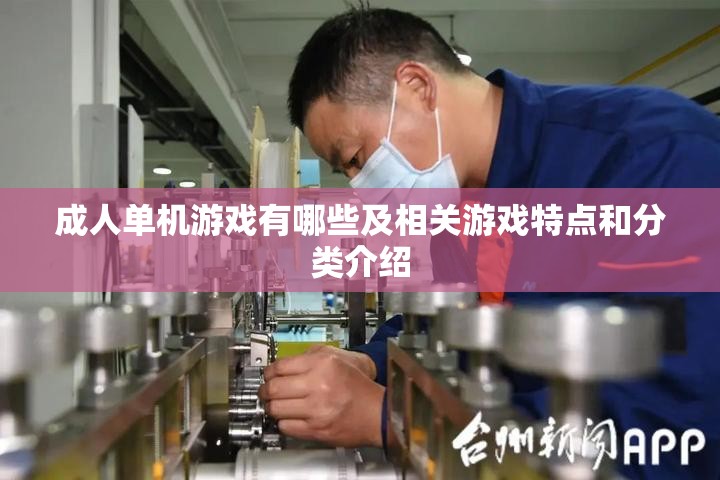 成人单机游戏有哪些及相关游戏特点和分类介绍
