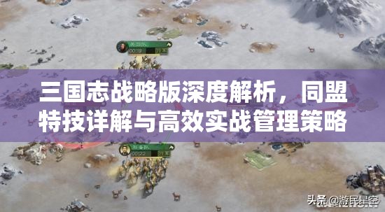 三国志战略版深度解析，同盟特技详解与高效实战管理策略