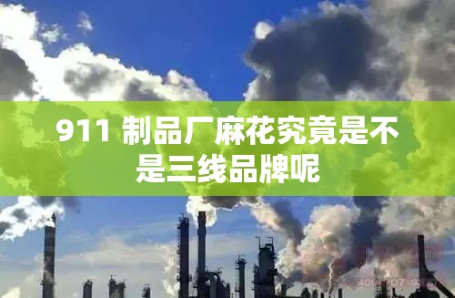 911 制品厂麻花究竟是不是三线品牌呢
