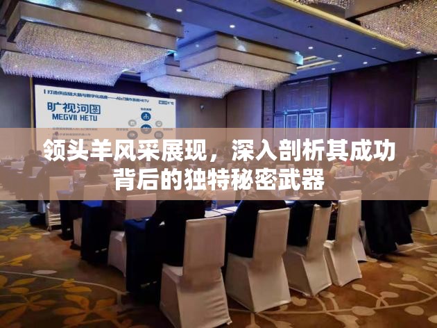 领头羊风采展现，深入剖析其成功背后的独特秘密武器