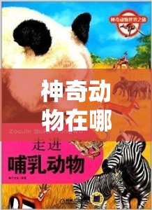 神奇动物在哪里：ZOOM 动物的奇妙世界