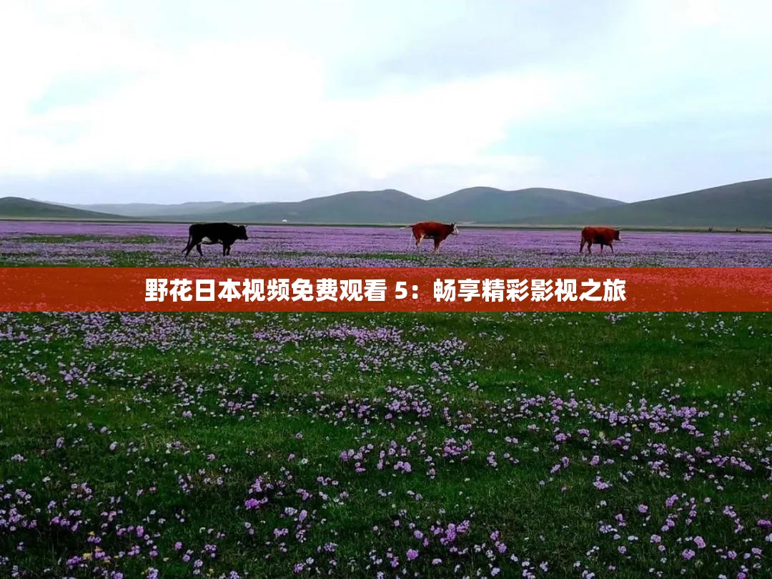 野花日本视频免费观看 5：畅享精彩影视之旅