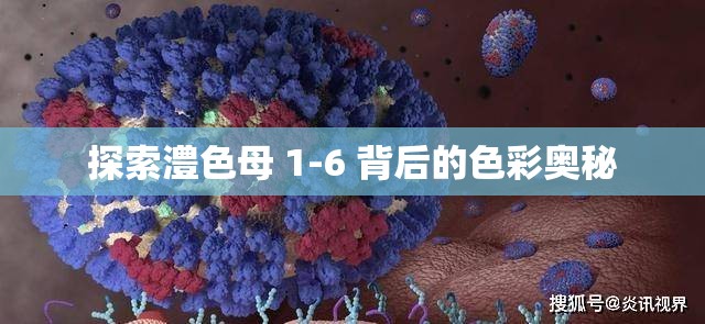 探索澧色母 1-6 背后的色彩奥秘