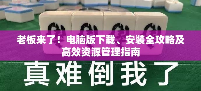 老板来了！电脑版下载、安装全攻略及高效资源管理指南