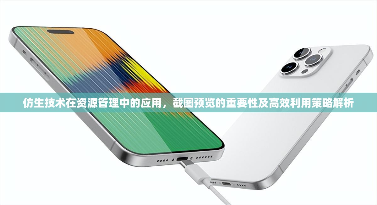 仿生技术在资源管理中的应用，截图预览的重要性及高效利用策略解析
