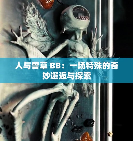 人与兽草 BB：一场特殊的奇妙邂逅与探索