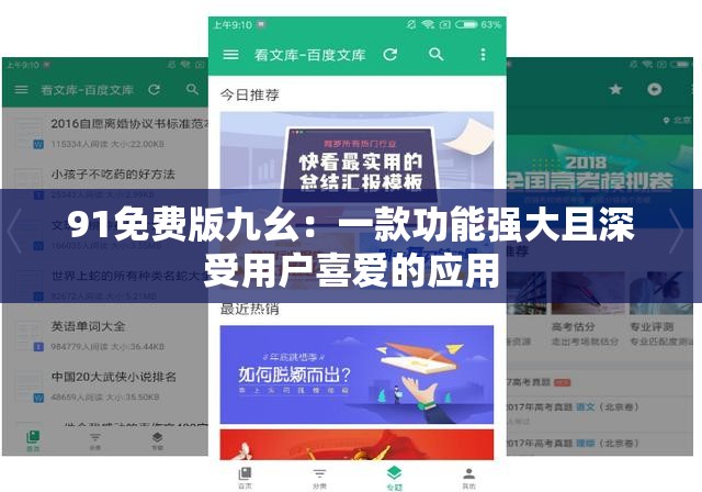 91免费版九幺：一款功能强大且深受用户喜爱的应用