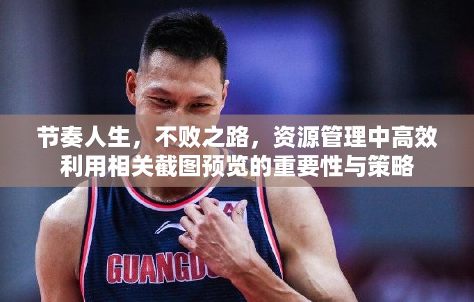 节奏人生，不败之路，资源管理中高效利用相关截图预览的重要性与策略