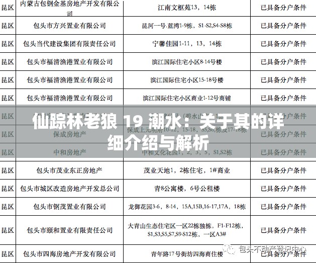 仙踪林老狼 19 潮水：关于其的详细介绍与解析