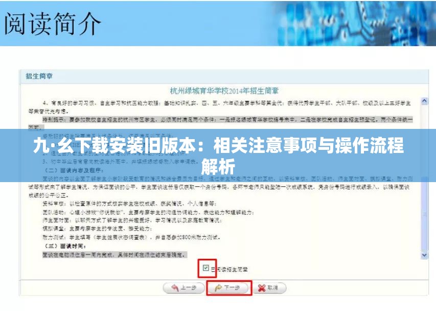 九·幺下载安装旧版本：相关注意事项与操作流程解析