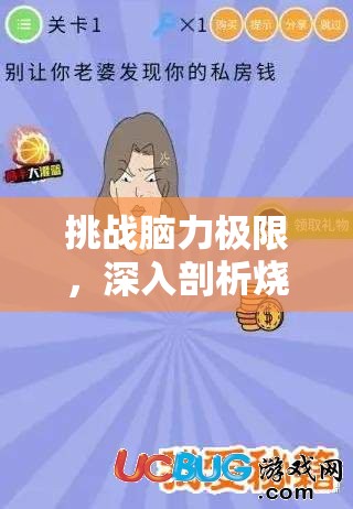 挑战脑力极限，深入剖析烧脑游戏截图，揭秘隐藏智慧谜题