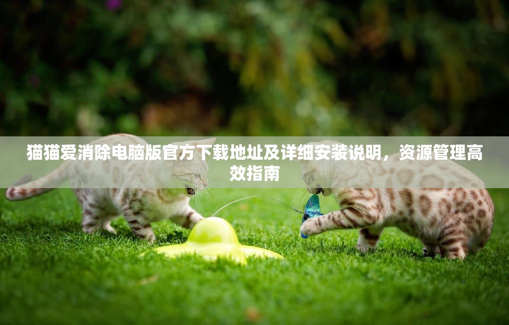 猫猫爱消除电脑版官方下载地址及详细安装说明，资源管理高效指南