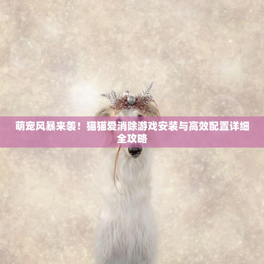 萌宠风暴来袭！猫猫爱消除游戏安装与高效配置详细全攻略