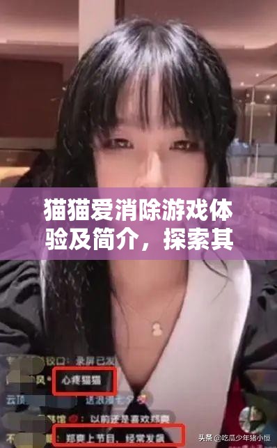猫猫爱消除游戏体验及简介，探索其在资源管理策略与乐趣结合中的重要性